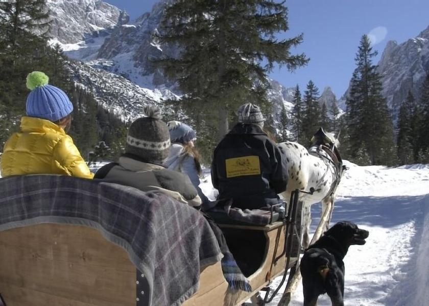 Trentino-Alto Adige Sesto Sledding