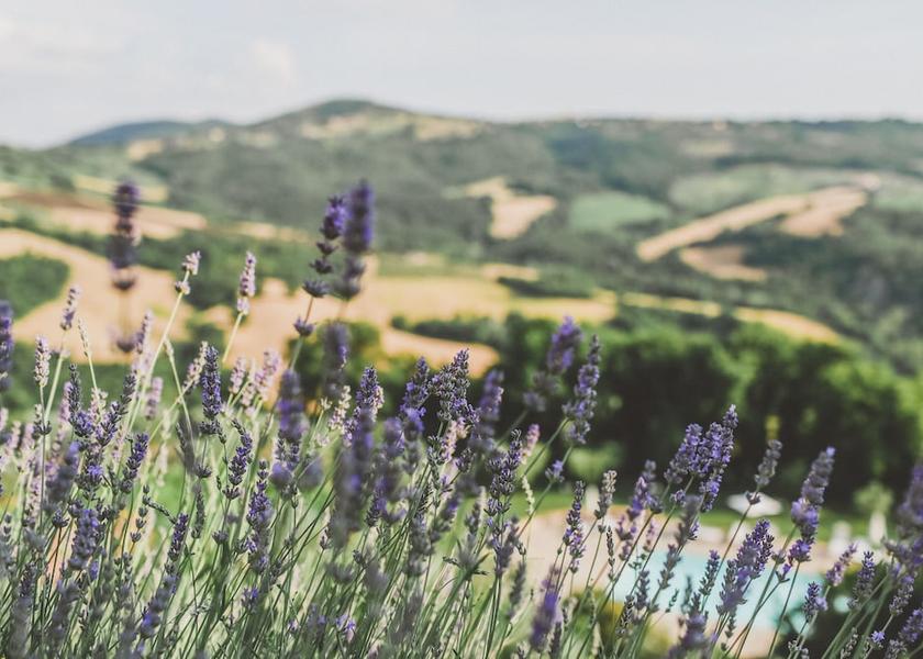 Umbria Gualdo Cattaneo Garden