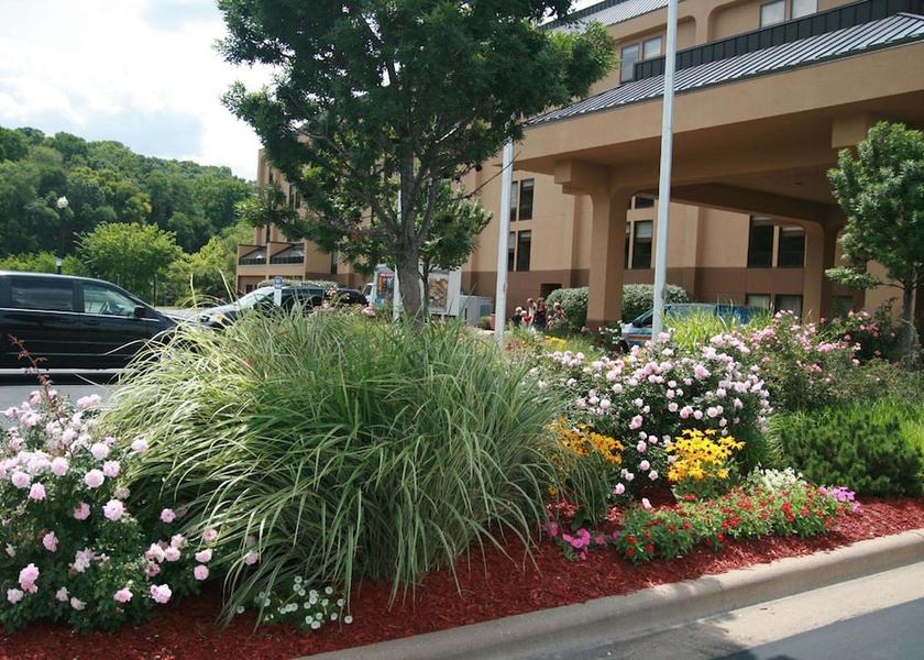 Illinois East Peoria Garden