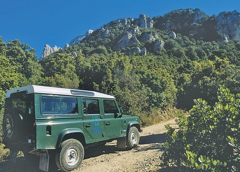 Sardinia Oliena Property Grounds