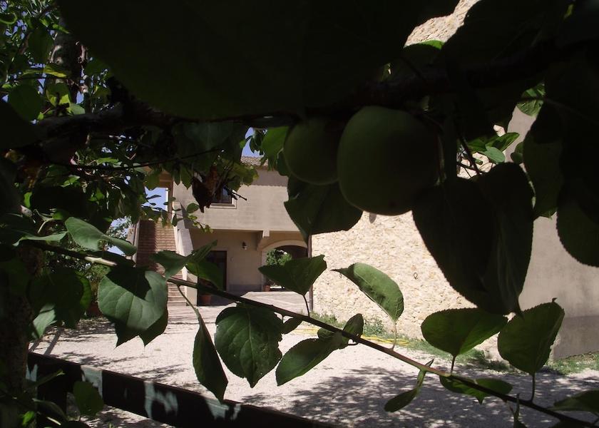 Sicily Caltagirone Courtyard