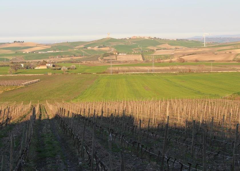 Molise Larino Property Grounds