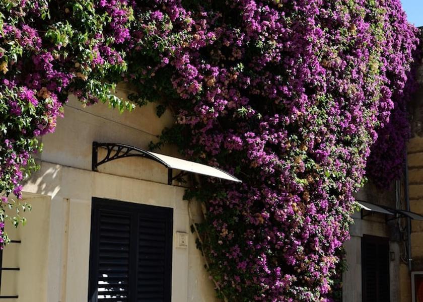 Puglia Corigliano D'Otranto Exterior Detail