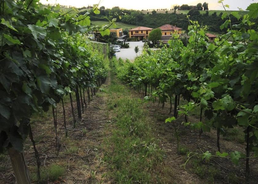 Emilia-Romagna Zola Predosa View from Property