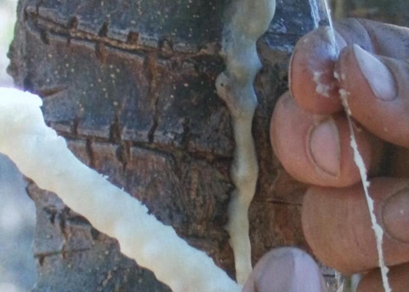 Sicily Pollina Interior Entrance