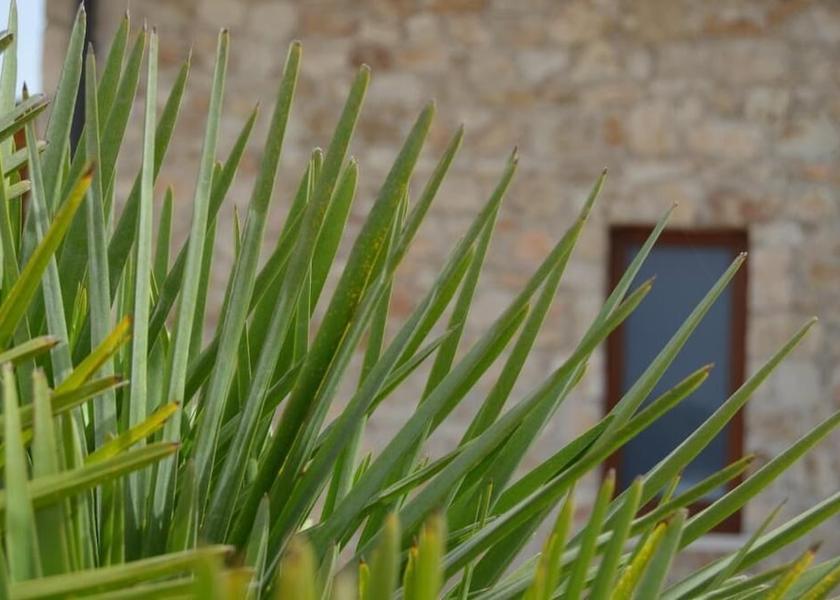 Sicily Portopalo di Capo Passero Property Grounds