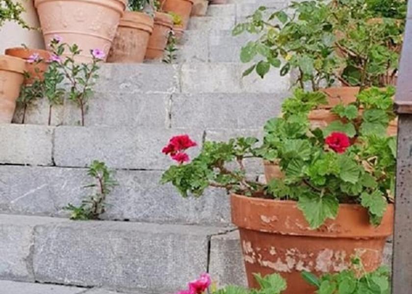 Sicily Castelmola Property Grounds