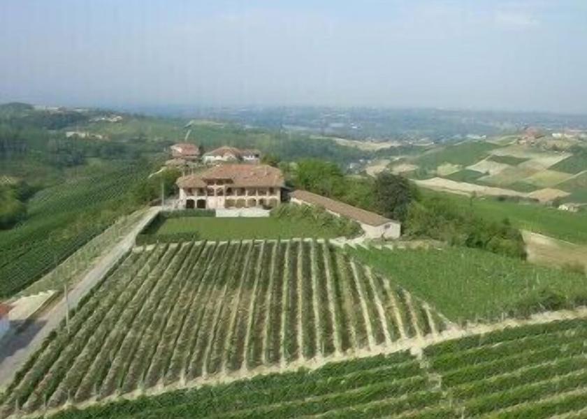Piedmont Dogliani Winery