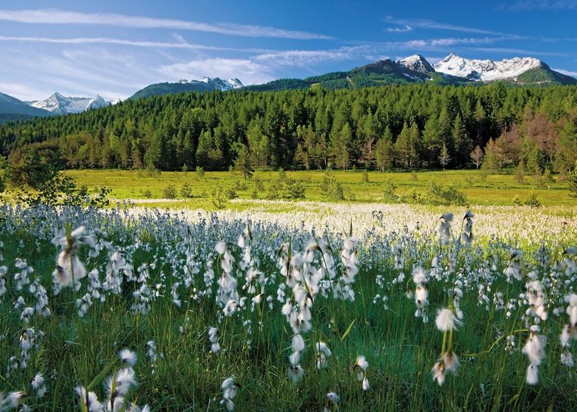 Lombardy Aprica Mountain View