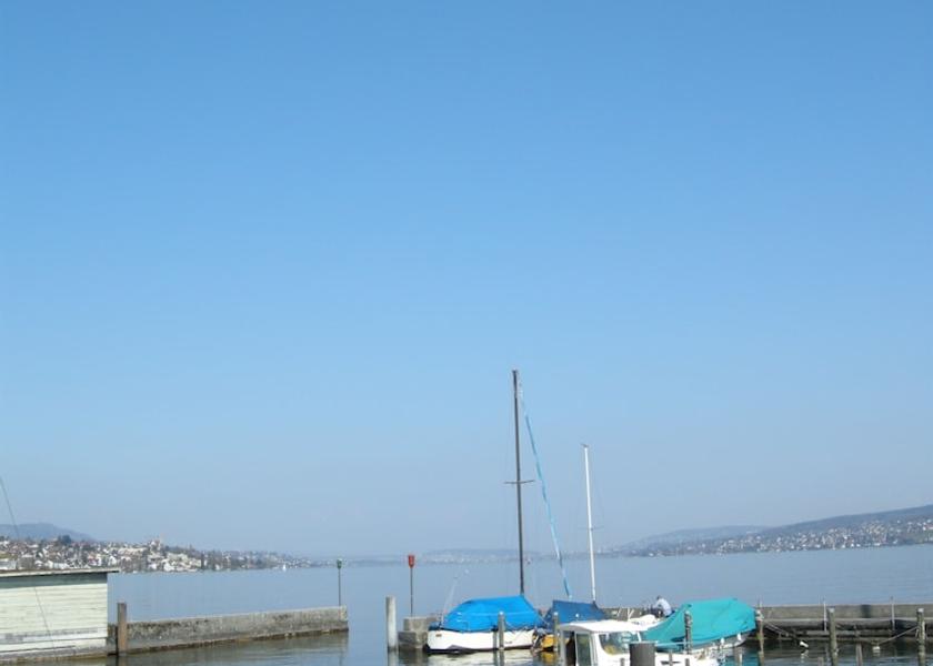 Canton of Zurich Horgen Exterior Detail