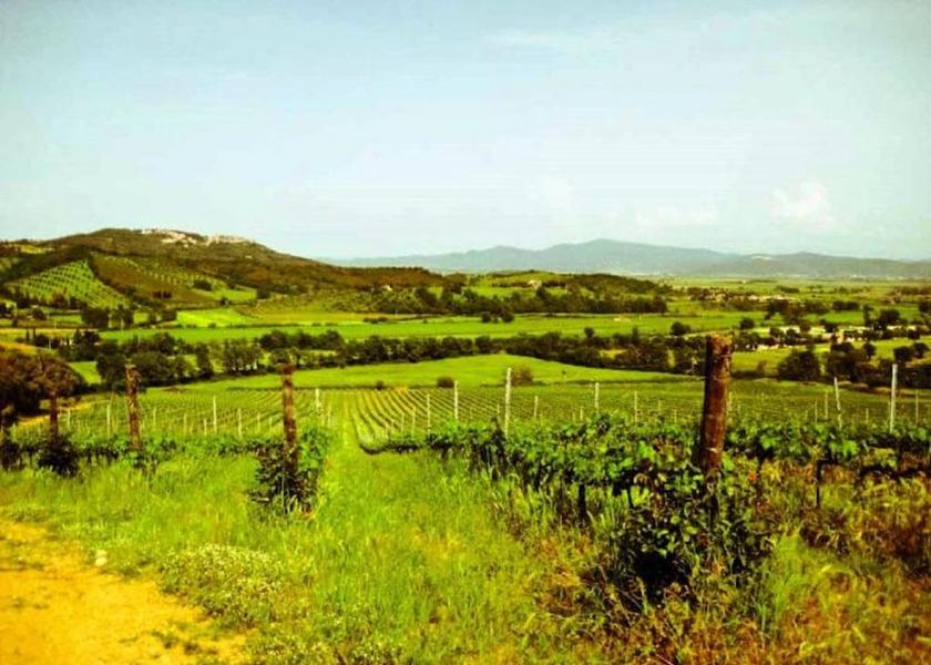 Tuscany Gavorrano Exterior Detail