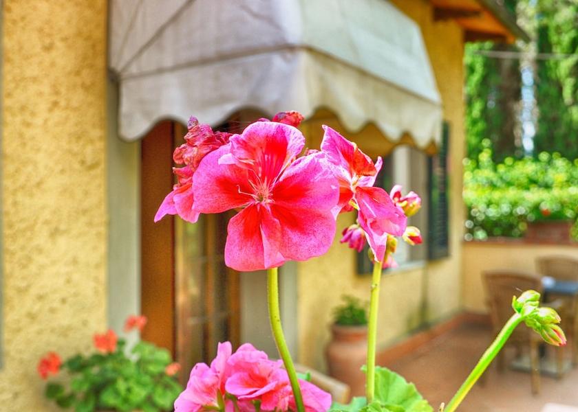 Tuscany Lastra a Signa Garden