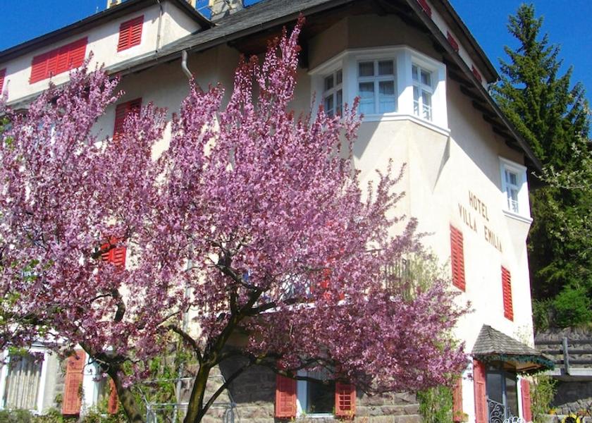Trentino-Alto Adige Ortisei Front of property