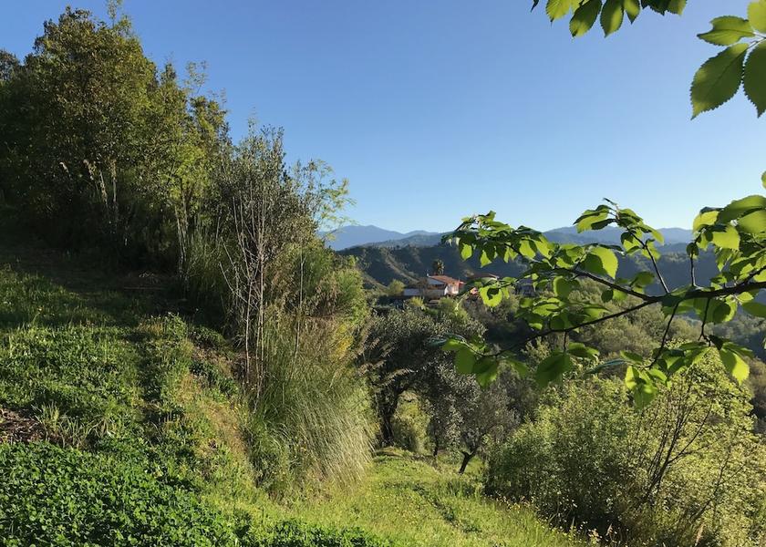 Campania Sessa Cilento Facade