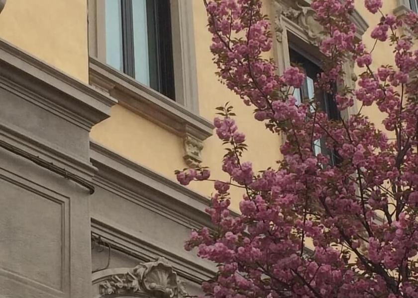 Lombardy Gallarate Exterior Detail