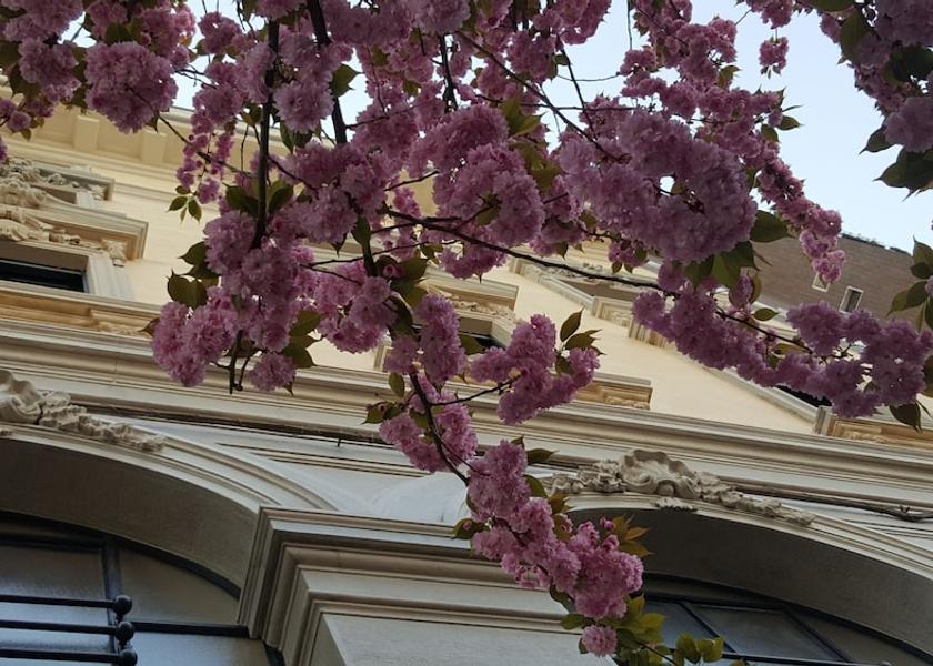 Lombardy Gallarate View from Property