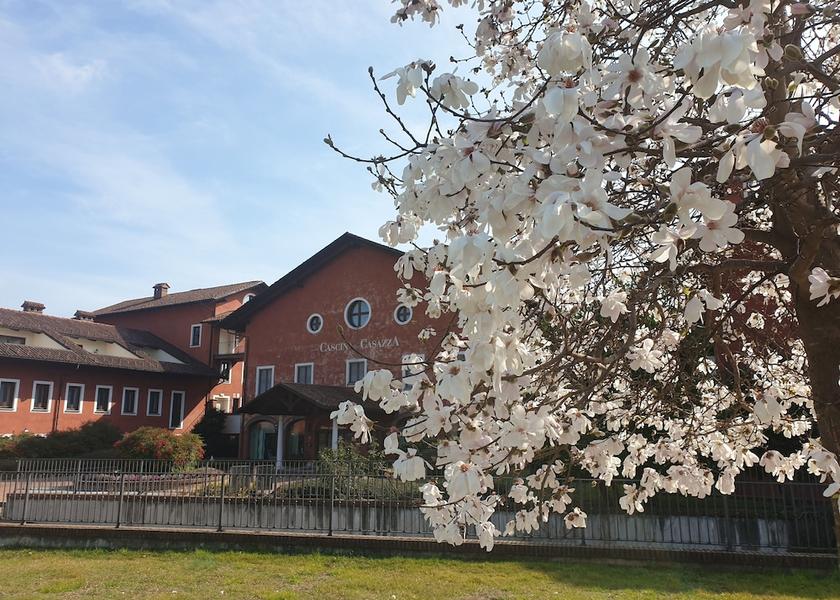 Piedmont Sandigliano Exterior Detail