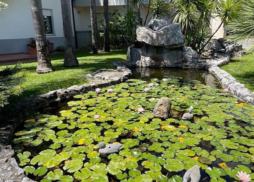 Calabria Tarsia Exterior Detail