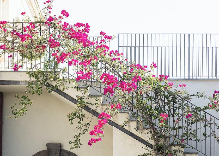 Sicily Riposto Interior Entrance