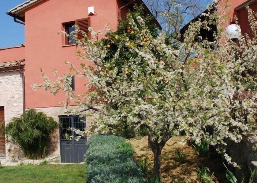 Umbria Calvi di Umbria Exterior Detail