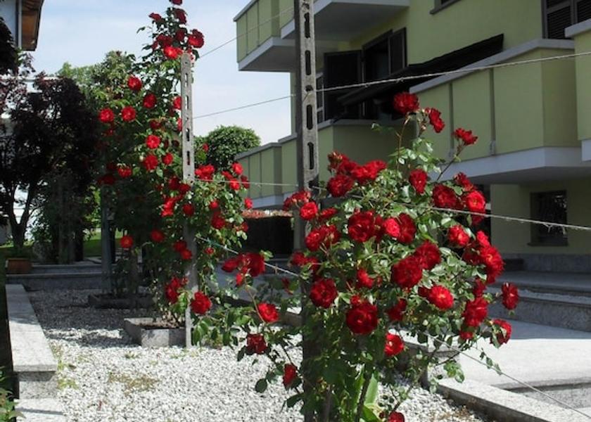 Piedmont Veruno Exterior Detail