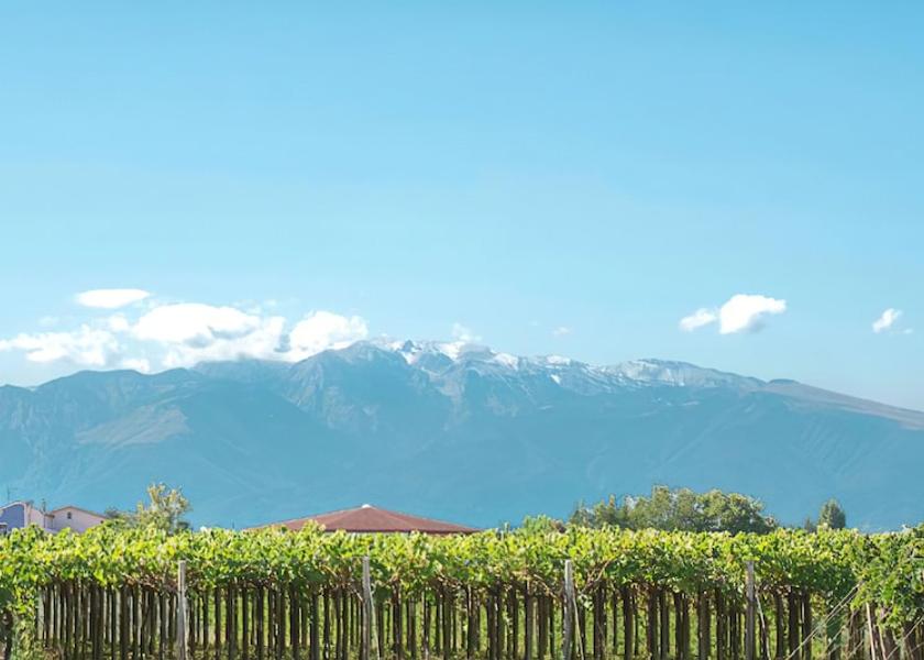 Abruzzo Canosa Sannita Winery