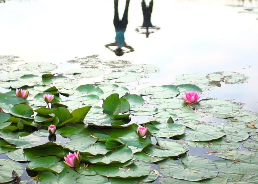 Veneto Meolo Pilates