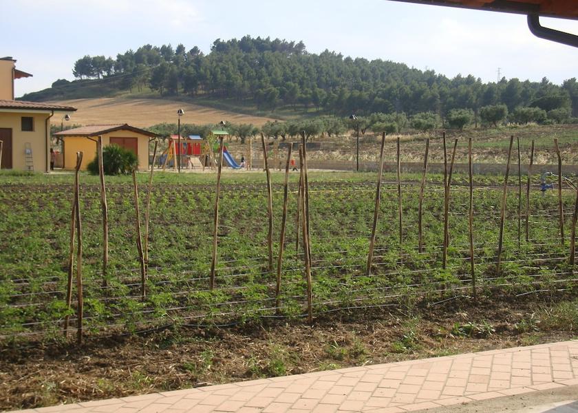 Calabria Belcastro Property grounds