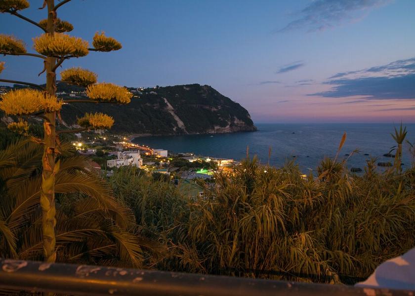 Campania Forio View from property