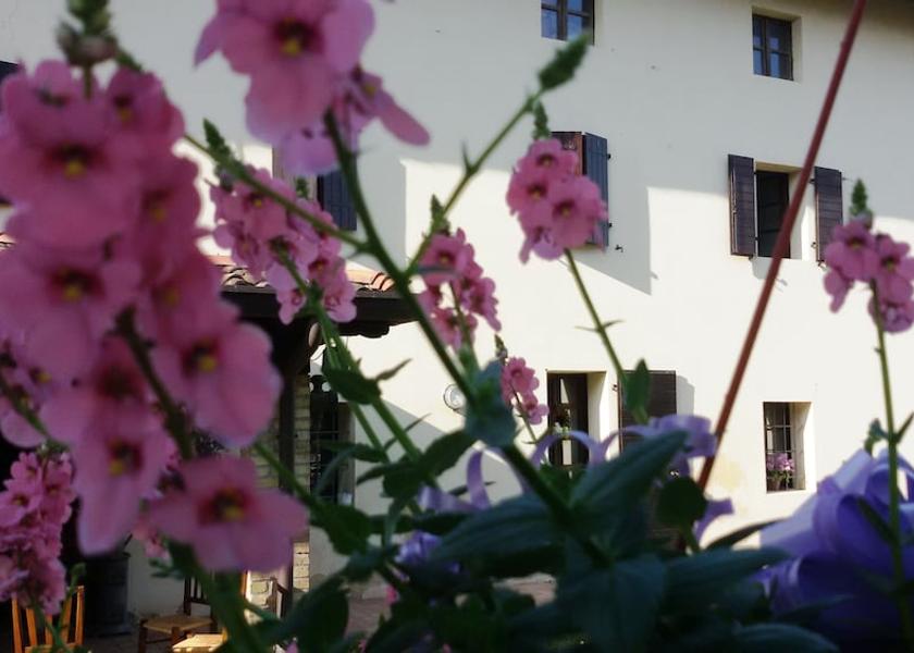 Friuli Venezia Giulia Codroipo Garden