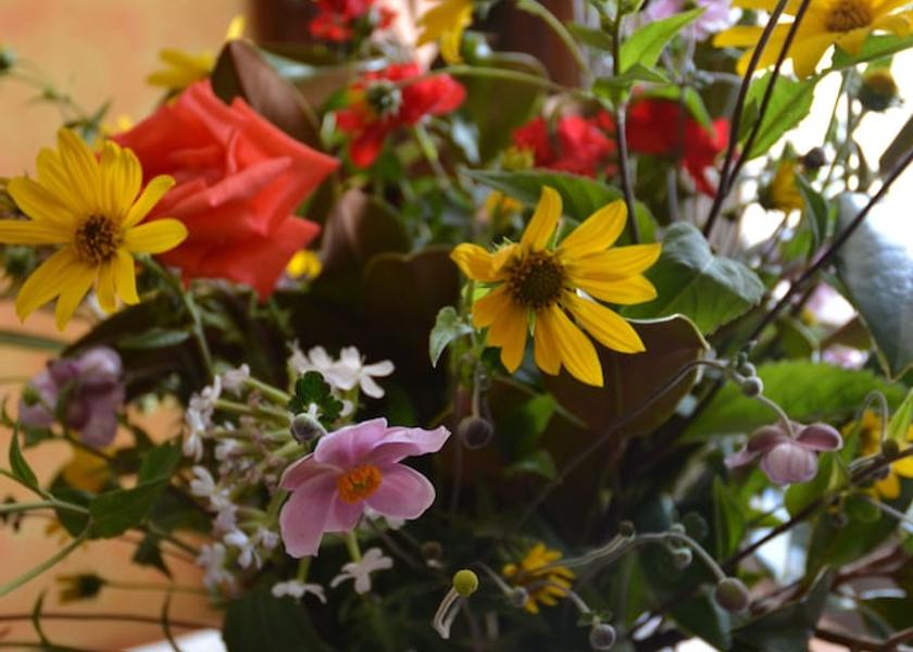 Piedmont Bozzole Interior Entrance