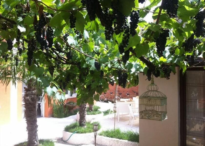 Veneto Venice Property Grounds