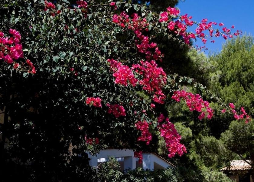 Sicily Favignana Property Grounds