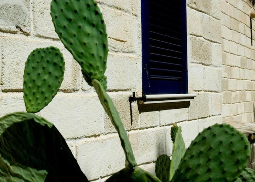 Sicily Favignana Property Grounds