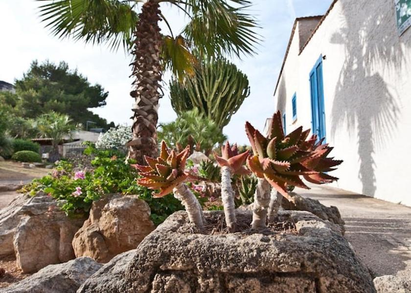 Sicily Favignana Property Grounds