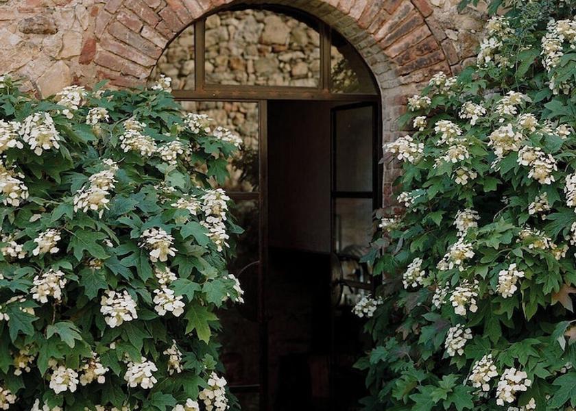Tuscany Cinigiano Reception