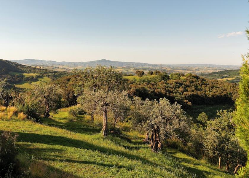 Tuscany Cinigiano Room
