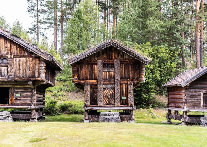 Telemark (county) Vradal Safari and game