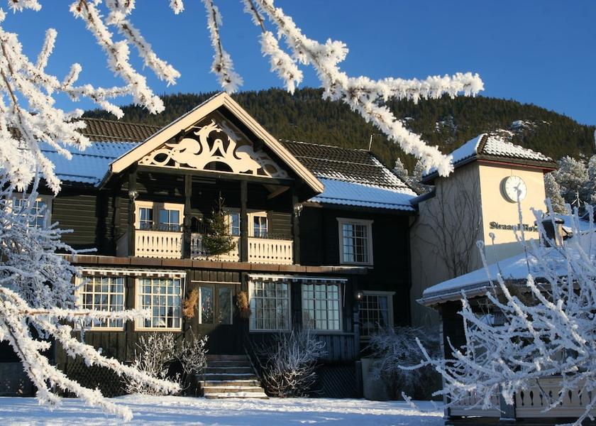 Telemark (county) Vradal Facade