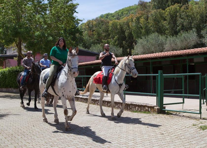 Sicily Santa Cristina Gela Billiards