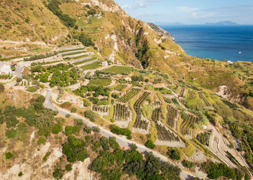 Campania Forio d'Ischia Restaurant