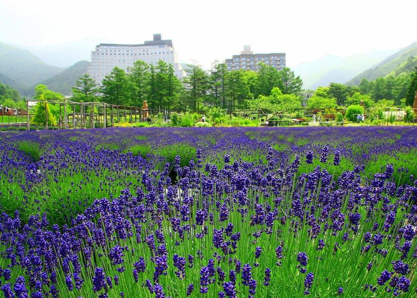 Fukushima Inawashiro Garden