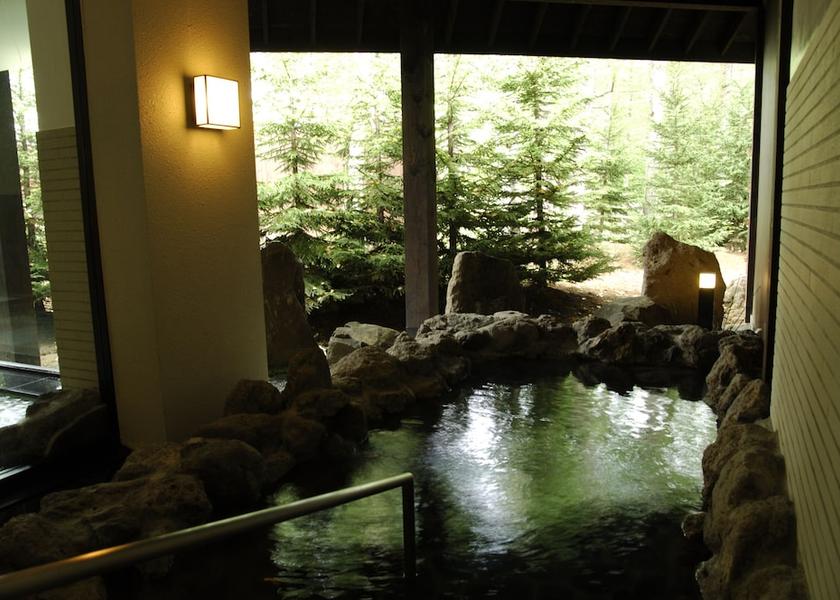 Hokkaido Shintoku Indoor spa tub