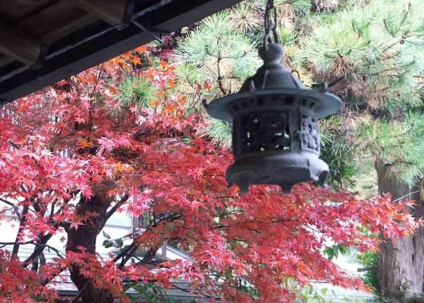 Shizuoka Kawazu View from Property