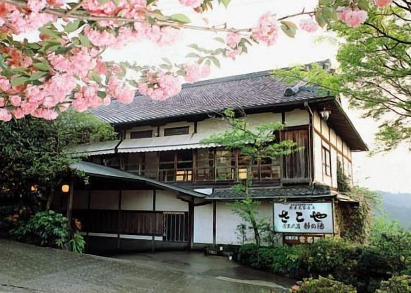 Nara Yoshino Primary image