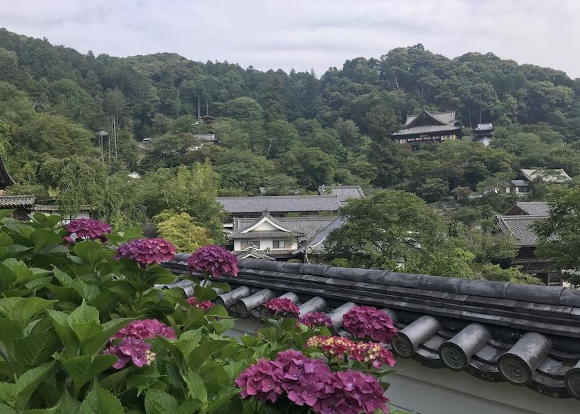Nara Asuka Point of interest