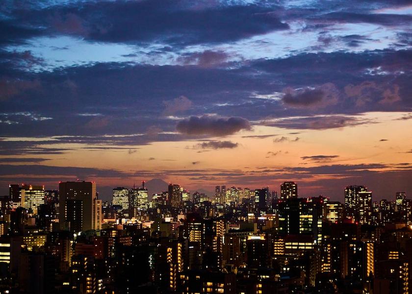 Tokyo Tokyo City view