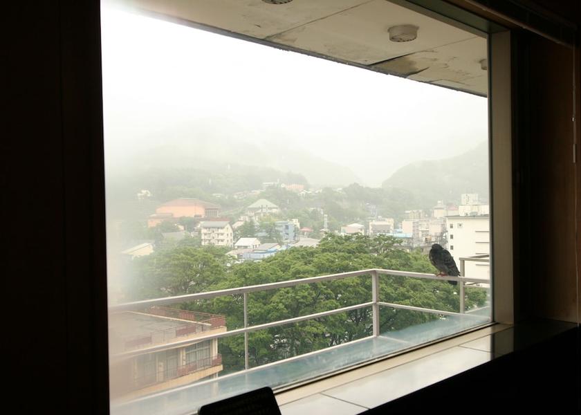 Gunma Minakami Mountain View