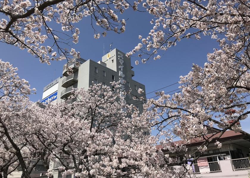 Ibaraki Mito Exterior