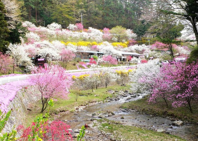 Nagano Komagane Property Grounds